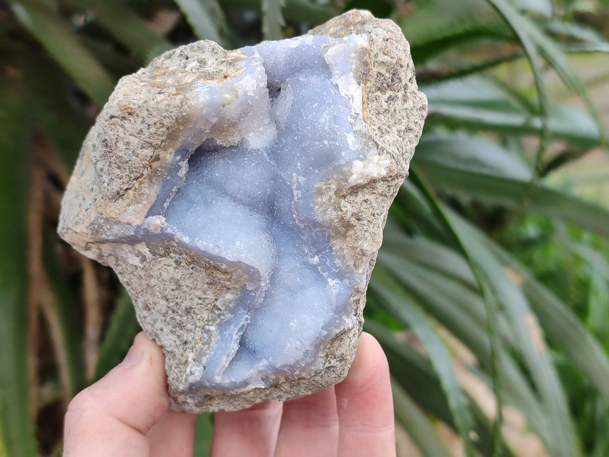 Natural Blue Lace Agate Geode Specimens x 6 From Nsanje, Malawi - Toprock Gemstones and Minerals 