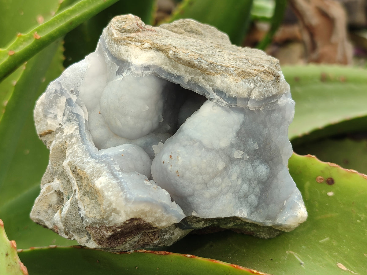Natural Blue Lace Agate Geode Specimens x 6 From Nsanje, Malawi - Toprock Gemstones and Minerals 