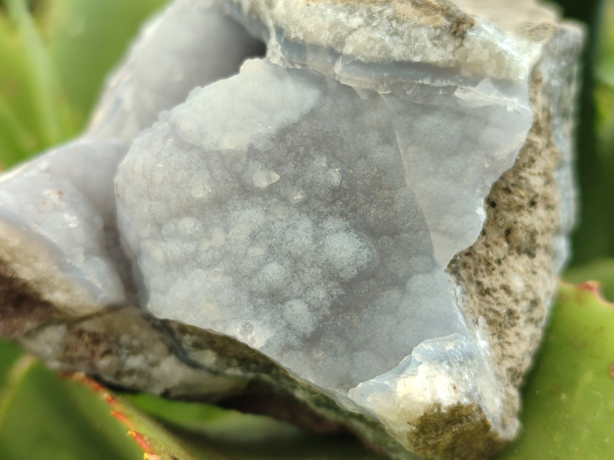 Natural Blue Lace Agate Geode Specimens x 6 From Nsanje, Malawi - Toprock Gemstones and Minerals 