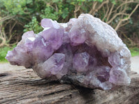 Natural Jacaranda Amethyst Quartz Cluster x 1 From Mumbwa, Zambia