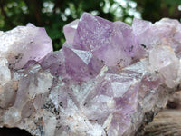 Natural Jacaranda Amethyst Quartz Cluster x 1 From Mumbwa, Zambia