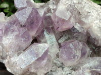 Natural Jacaranda Amethyst Quartz Cluster x 1 From Mumbwa, Zambia