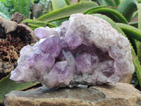 Natural Jacaranda Amethyst Quartz Cluster x 1 From Mumbwa, Zambia