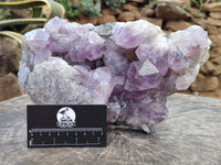 Natural Jacaranda Amethyst Quartz Cluster x 1 From Mumbwa, Zambia