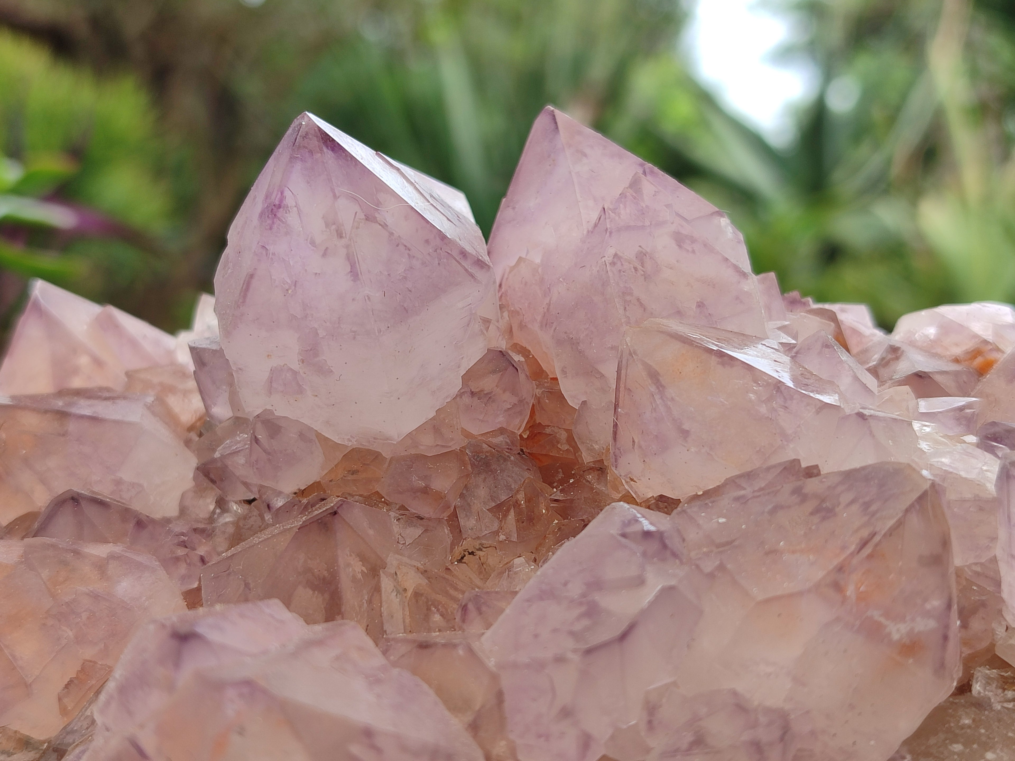 Natural Dark Amethyst Spirit Quartz Clusters x 3 From Boekenhouthoek, South Africa - Toprock Gemstones and Minerals 