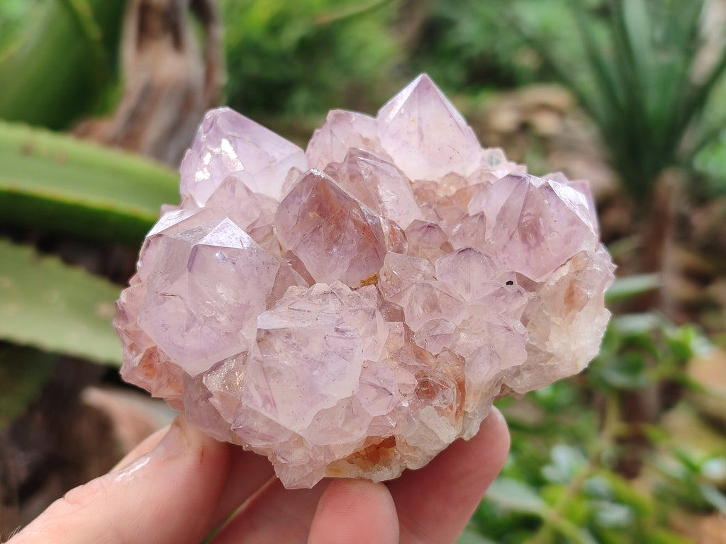 Natural Dark Amethyst Spirit Quartz Clusters x 3 From Boekenhouthoek, South Africa - Toprock Gemstones and Minerals 