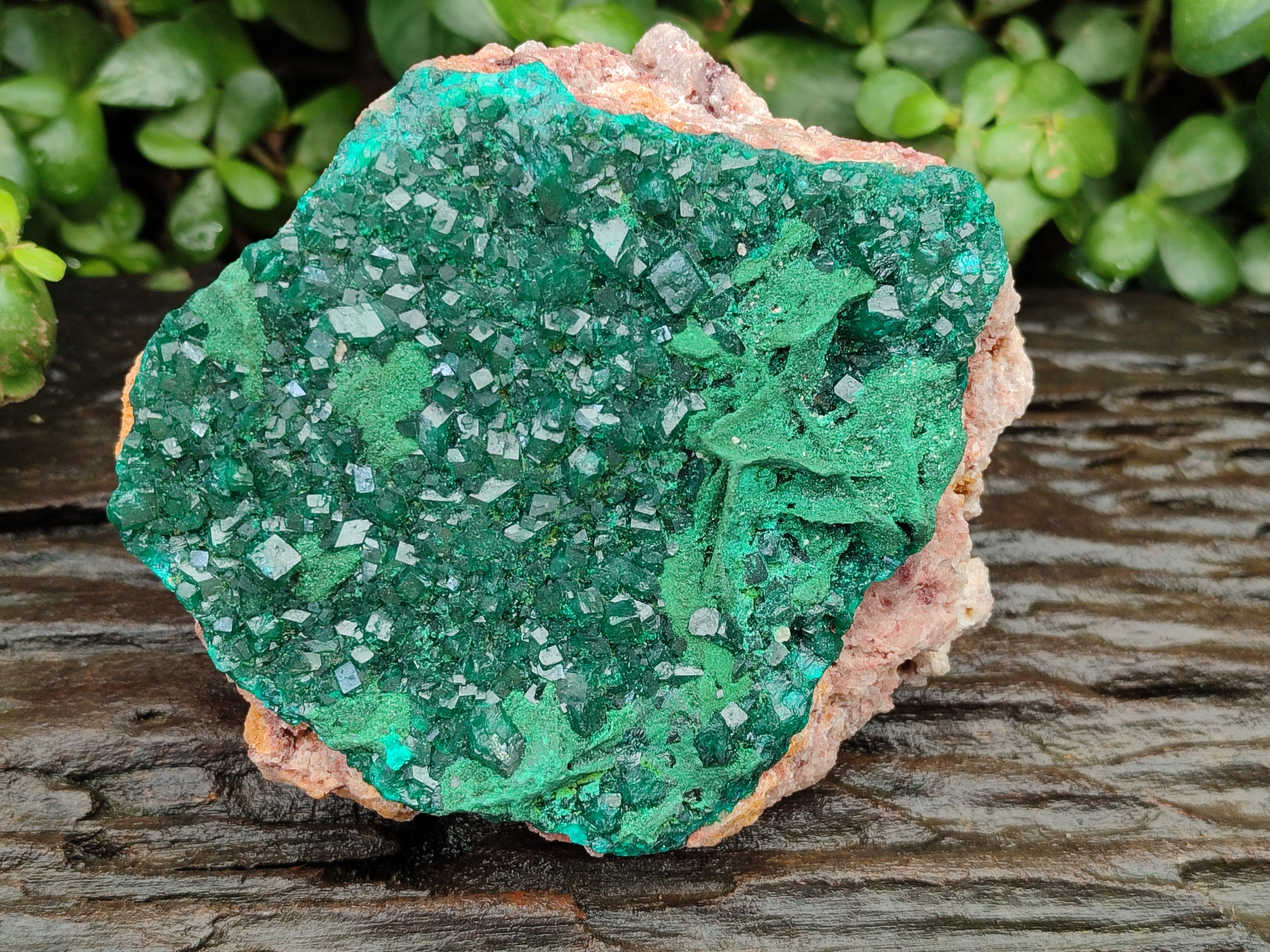 Natural Dioptase and Malachite On Dolomite Specimen x 1 From Likasi, Congo - Toprock Gemstones and Minerals 