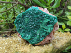 Natural Dioptase and Malachite On Dolomite Specimen x 1 From Likasi, Congo - Toprock Gemstones and Minerals 