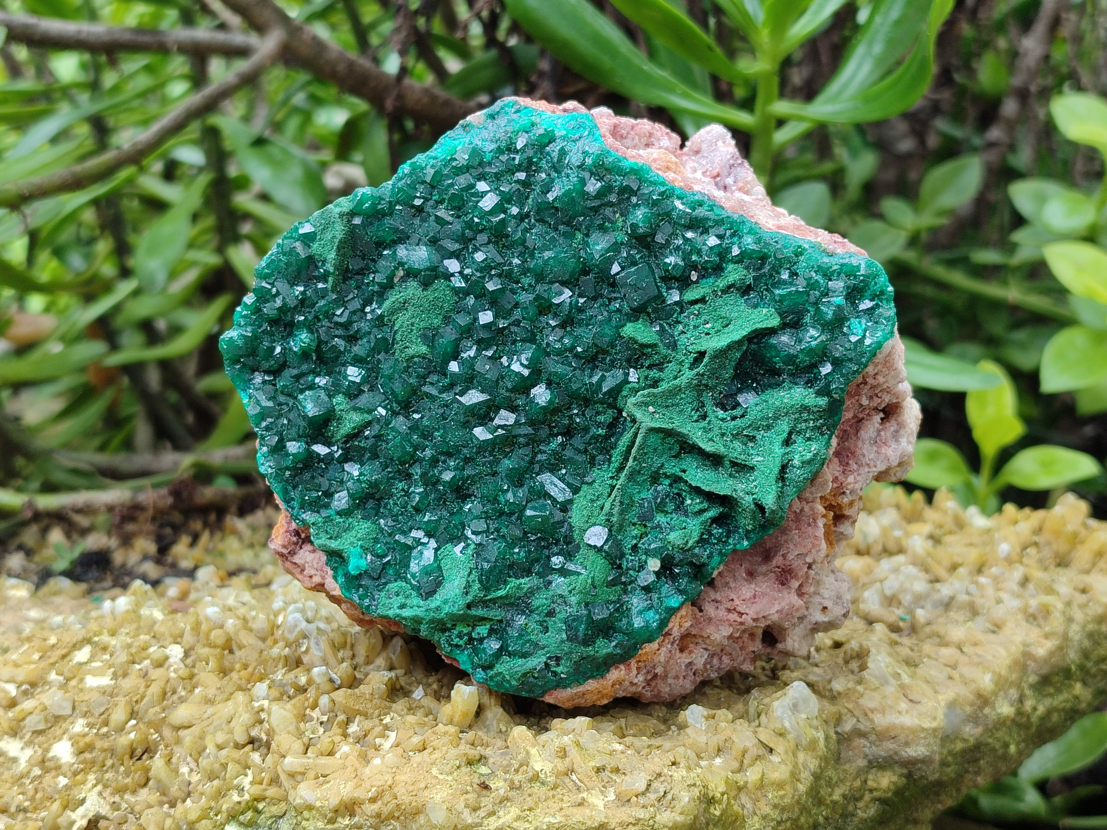 Natural Dioptase and Malachite On Dolomite Specimen x 1 From Likasi, Congo - Toprock Gemstones and Minerals 