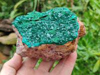 Natural Dioptase and Malachite On Dolomite Specimen x 1 From Likasi, Congo