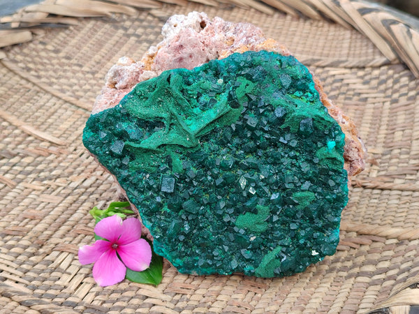 Natural Dioptase and Malachite On Dolomite Specimen x 1 From Likasi, Congo