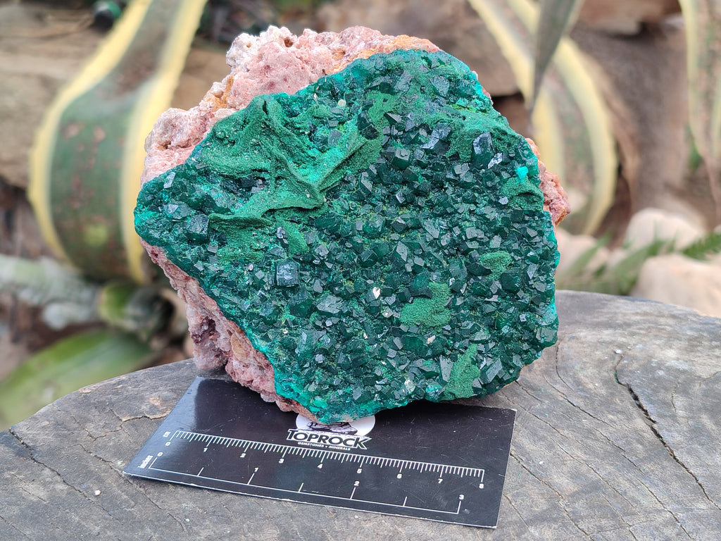 Natural Dioptase and Malachite On Dolomite Specimen x 1 From Likasi, Congo - Toprock Gemstones and Minerals 