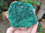 Natural Dioptase and Malachite On Dolomite Specimen x 1 From Likasi, Congo - Toprock Gemstones and Minerals 