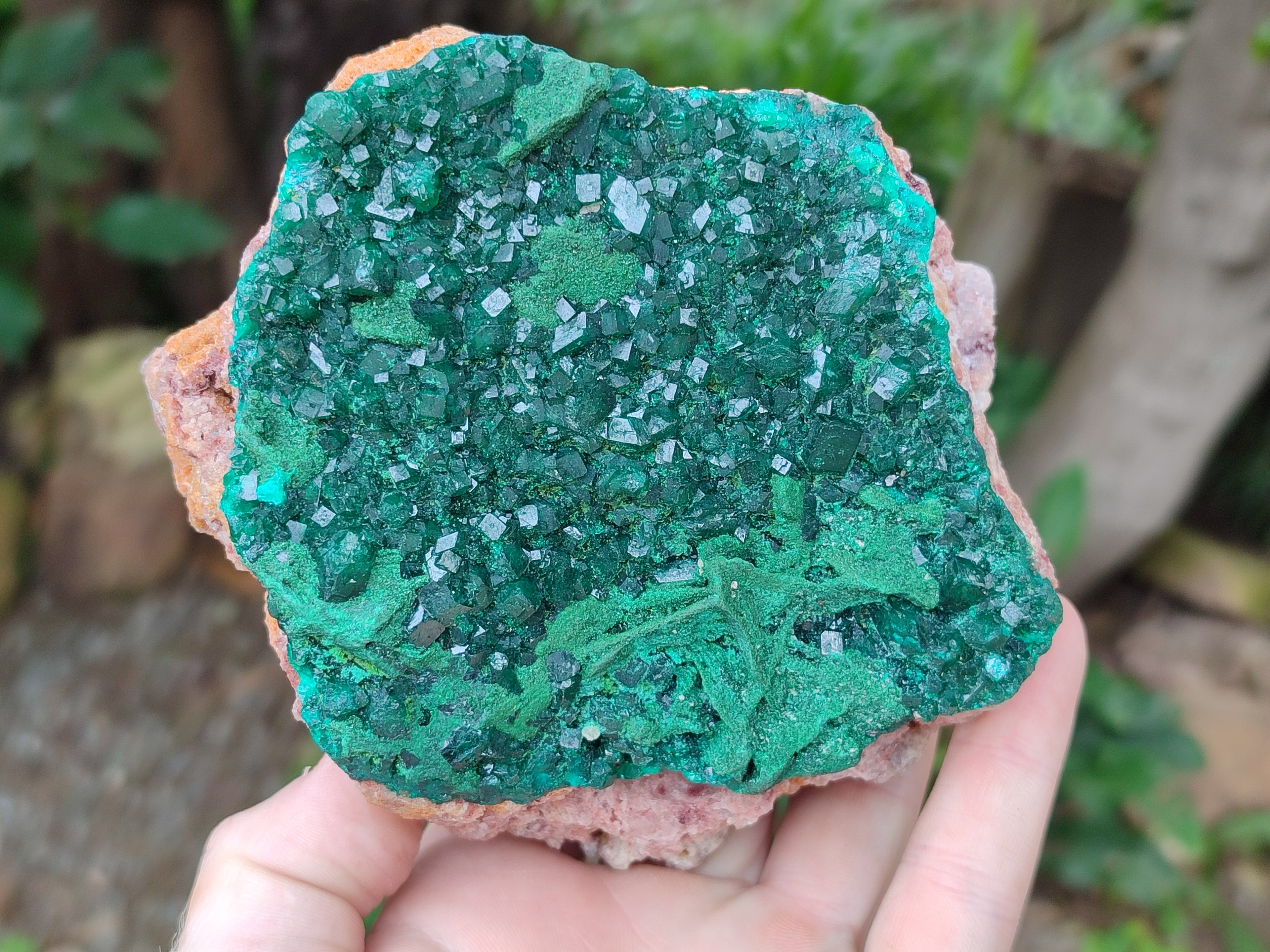 Natural Dioptase and Malachite On Dolomite Specimen x 1 From Likasi, Congo - Toprock Gemstones and Minerals 