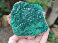 Natural Dioptase and Malachite On Dolomite Specimen x 1 From Likasi, Congo