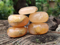 Polished Orange Twist Calcite Palm Stones x 24 From Maevantanana, Madagascar