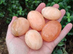 Polished Orange Twist Calcite Palm Stones x 24 From Maevantanana, Madagascar - Toprock Gemstones and Minerals 