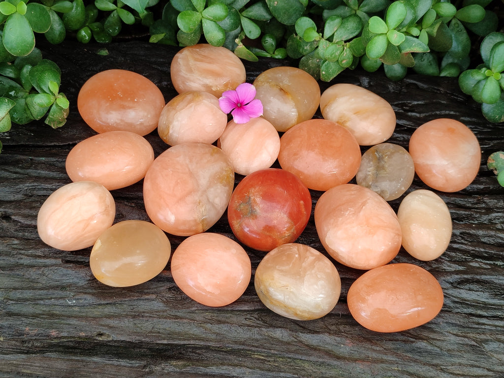 Polished Orange Twist Calcite Palm Stones x 24 From Maevantanana, Madagascar - Toprock Gemstones and Minerals 