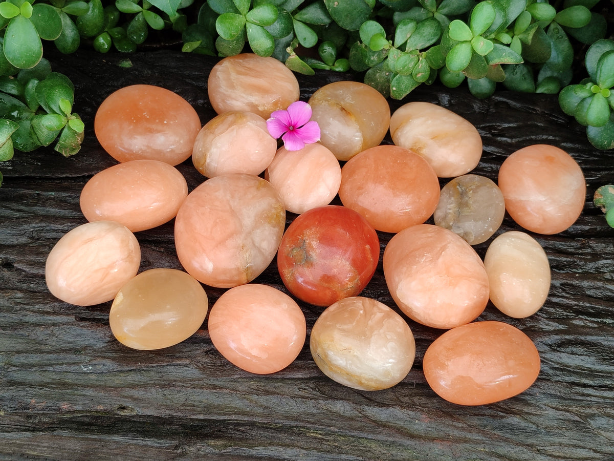 Polished Orange Twist Calcite Palm Stones x 24 From Maevantanana, Madagascar - Toprock Gemstones and Minerals 