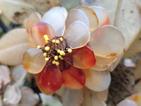 Hand Made Gemstone Tree x 1 From Southern Africa