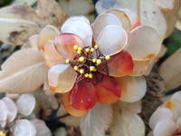 Hand Made Gemstone Tree x 1 From Southern Africa