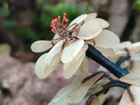 Hand Made Gemstone Tree x 1 From Southern Africa