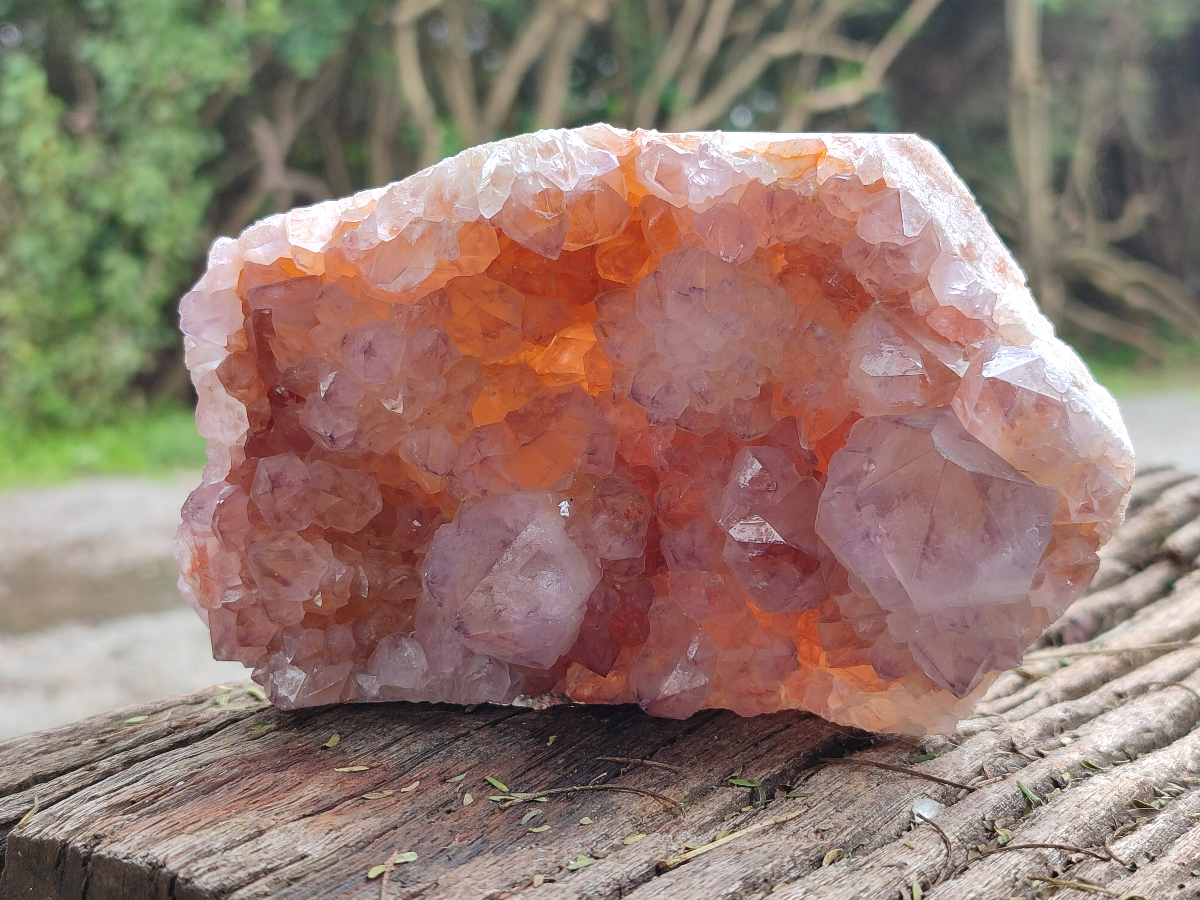 Natural Dark Ametrine Spirit Quartz Clusters x 4 From Boekenhouthoek, South Africa - Toprock Gemstones and Minerals 