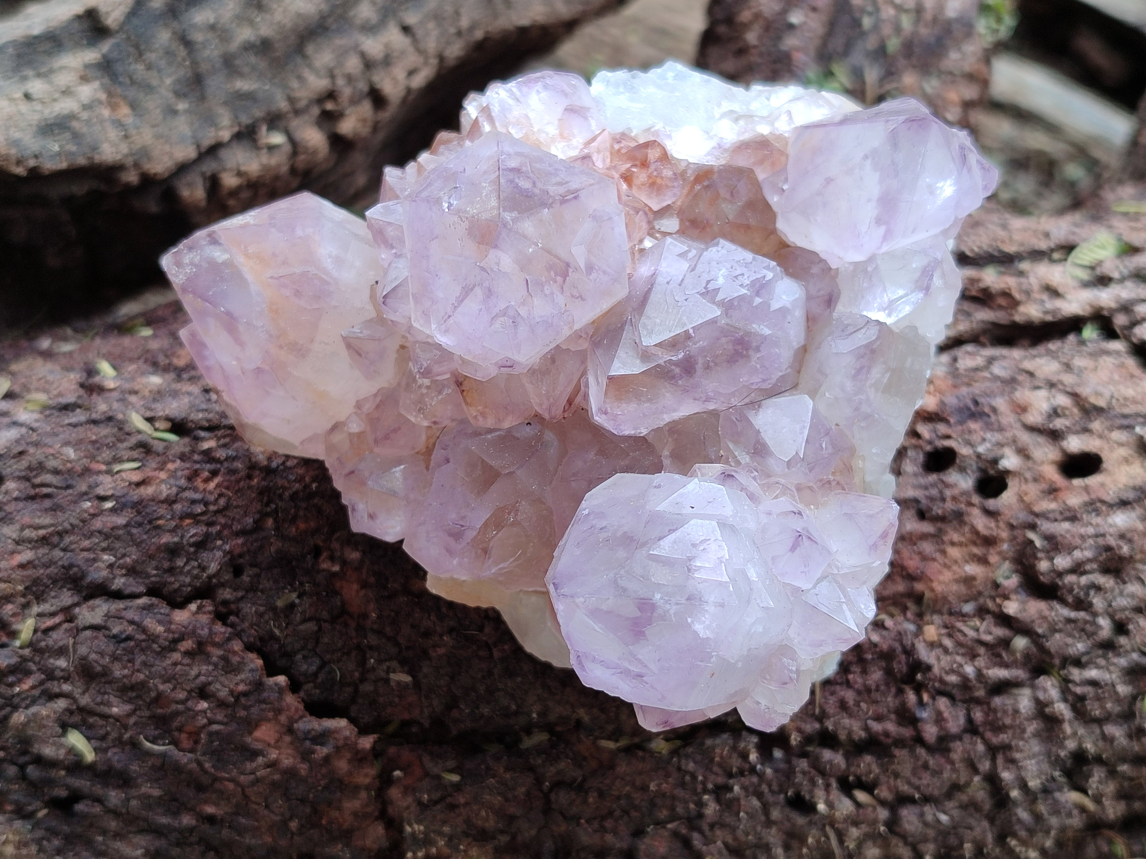 Natural Dark Ametrine Spirit Quartz Clusters x 4 From Boekenhouthoek, South Africa - Toprock Gemstones and Minerals 
