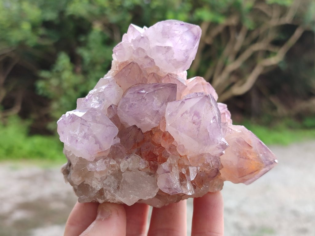 Natural Dark Ametrine Spirit Quartz Clusters x 4 From Boekenhouthoek, South Africa - Toprock Gemstones and Minerals 
