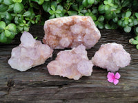 Natural Dark Ametrine Spirit Quartz Clusters x 4 From Boekenhouthoek, South Africa - Toprock Gemstones and Minerals 