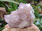 Natural Dark Ametrine Spirit Quartz Clusters x 4 From Boekenhouthoek, South Africa - Toprock Gemstones and Minerals 