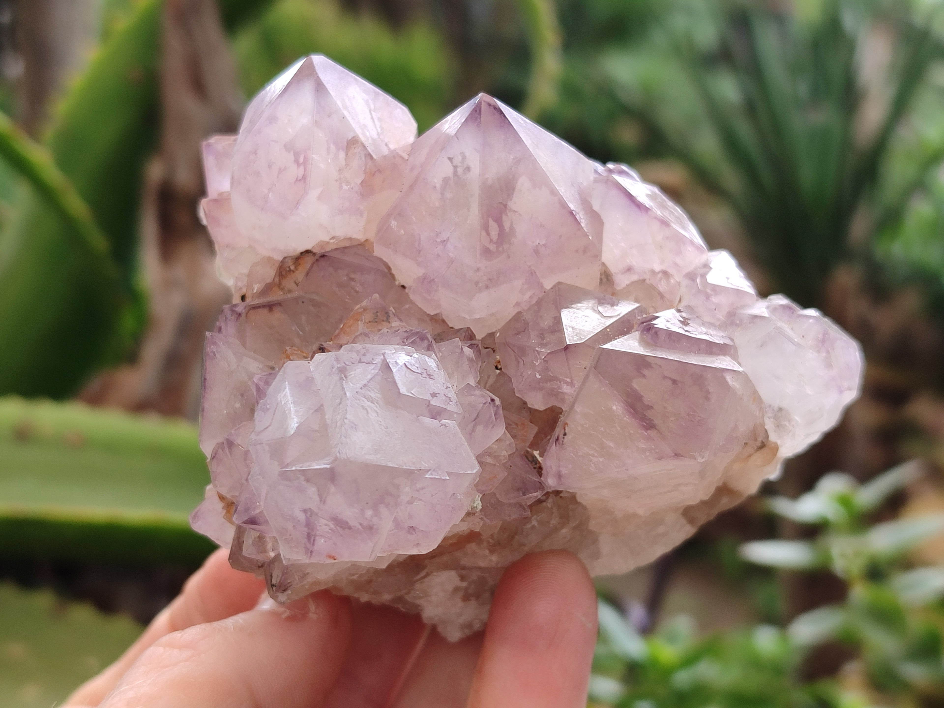 Natural Dark Ametrine Spirit Quartz Clusters x 4 From Boekenhouthoek, South Africa - Toprock Gemstones and Minerals 