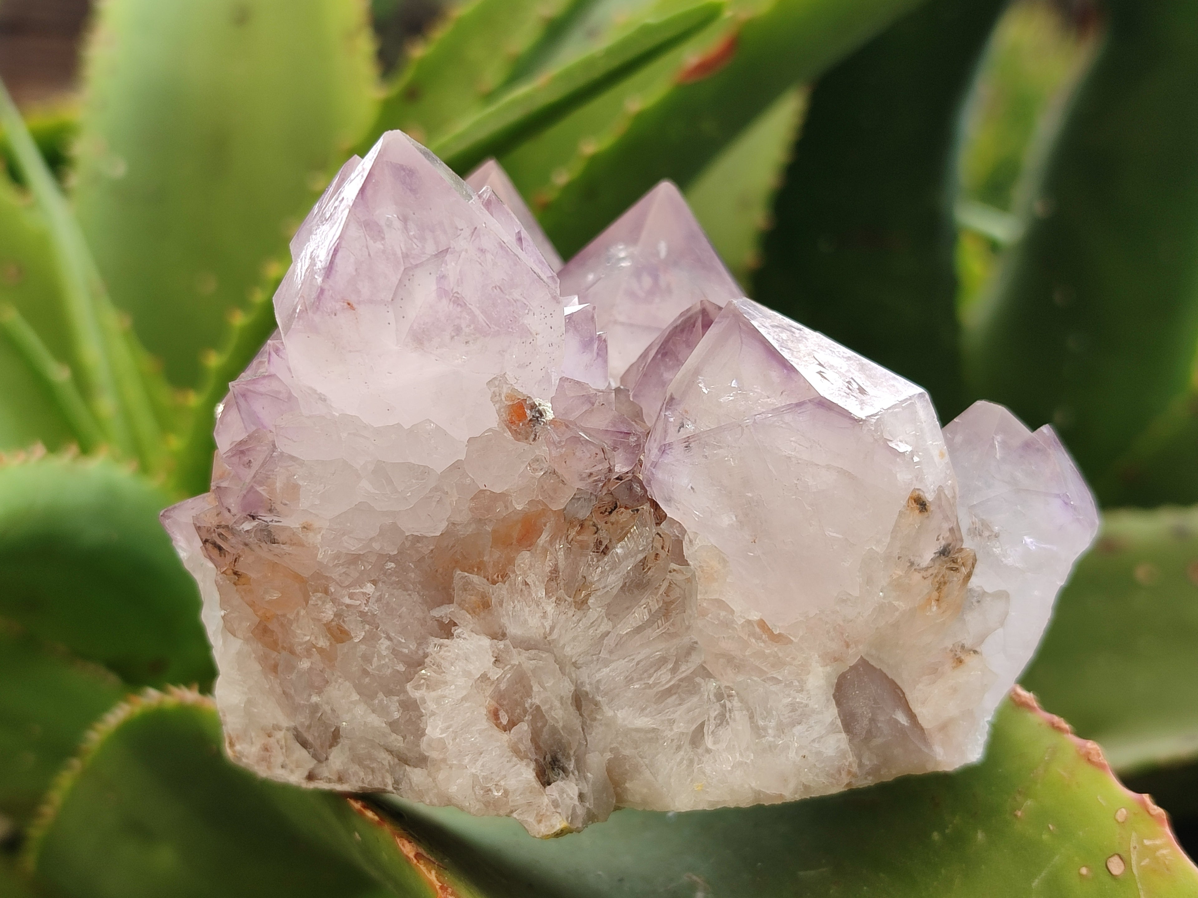 Natural Dark Ametrine Spirit Quartz Clusters x 4 From Boekenhouthoek, South Africa - Toprock Gemstones and Minerals 