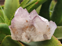 Natural Dark Ametrine Spirit Quartz Clusters x 4 From Boekenhouthoek, South Africa - Toprock Gemstones and Minerals 