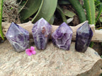 Polished Chevron Amethyst Points x 4 From Zambia - Toprock Gemstones and Minerals 