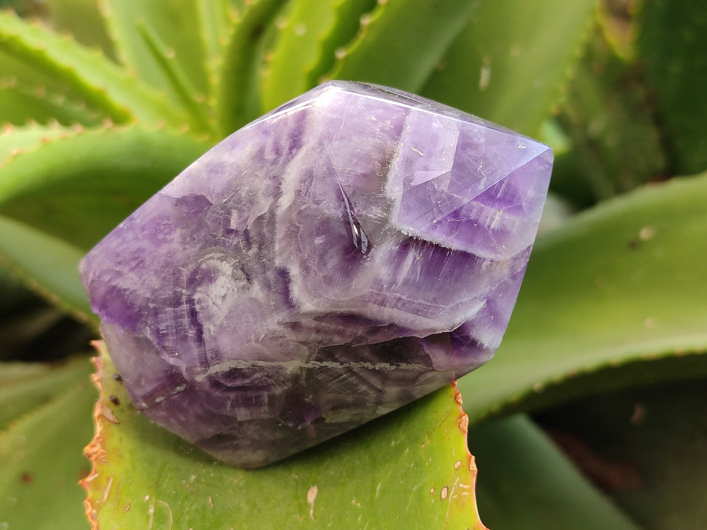 Polished Chevron Amethyst Points x 4 From Zambia - Toprock Gemstones and Minerals 