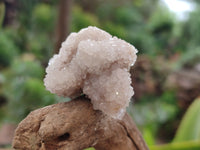 Natural Ametrine Spirit Quartz Crystals x 35 From Boekenhouthoek, South Africa