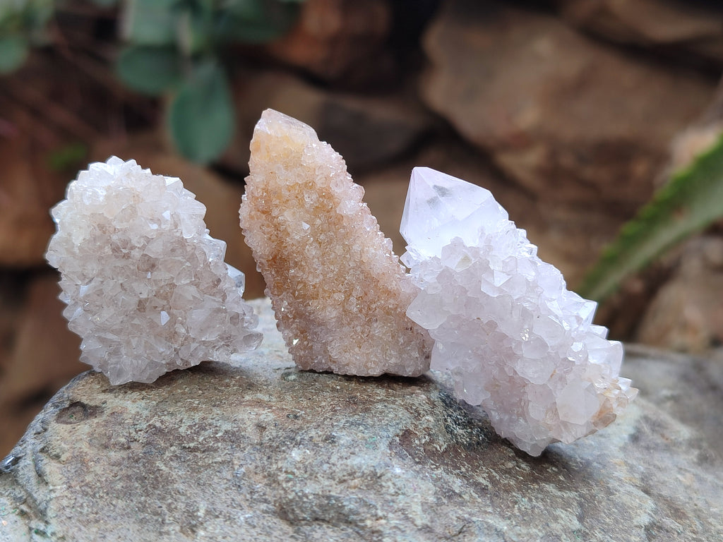 Natural Ametrine Spirit Quartz Crystals x 35 From Boekenhouthoek, South Africa - Toprock Gemstones and Minerals 