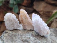 Natural Ametrine Spirit Quartz Crystals x 35 From Boekenhouthoek, South Africa
