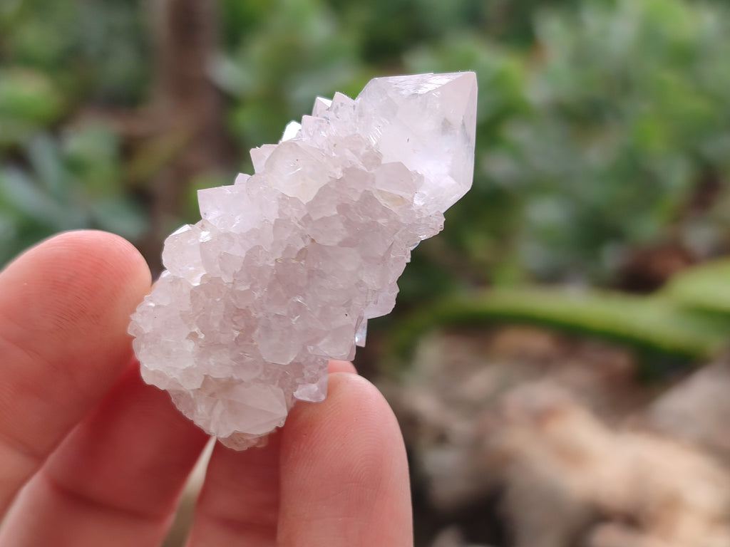 Natural Ametrine Spirit Quartz Crystals x 35 From Boekenhouthoek, South Africa - Toprock Gemstones and Minerals 
