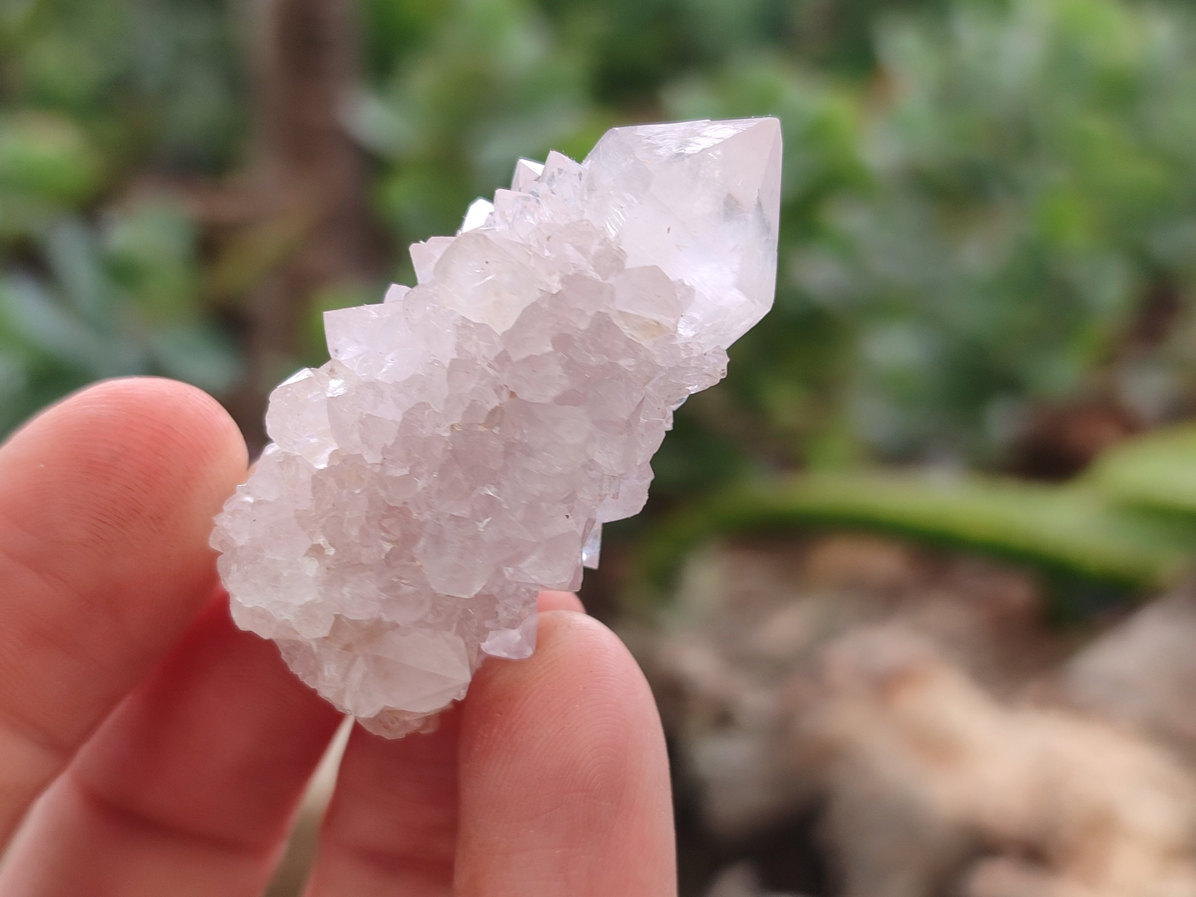 Natural Ametrine Spirit Quartz Crystals x 35 From Boekenhouthoek, South Africa - Toprock Gemstones and Minerals 