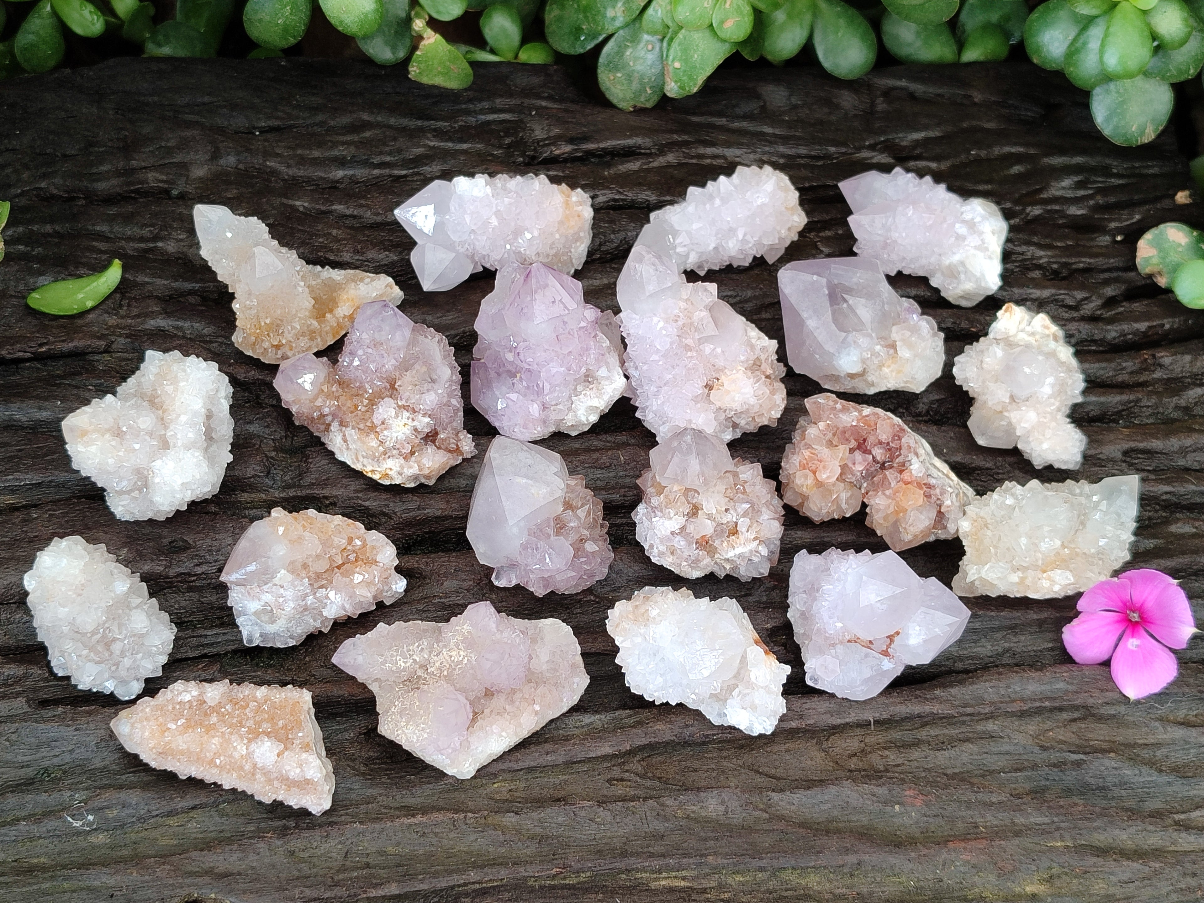 Natural Ametrine Spirit Quartz Crystals x 35 From Boekenhouthoek, South Africa - Toprock Gemstones and Minerals 