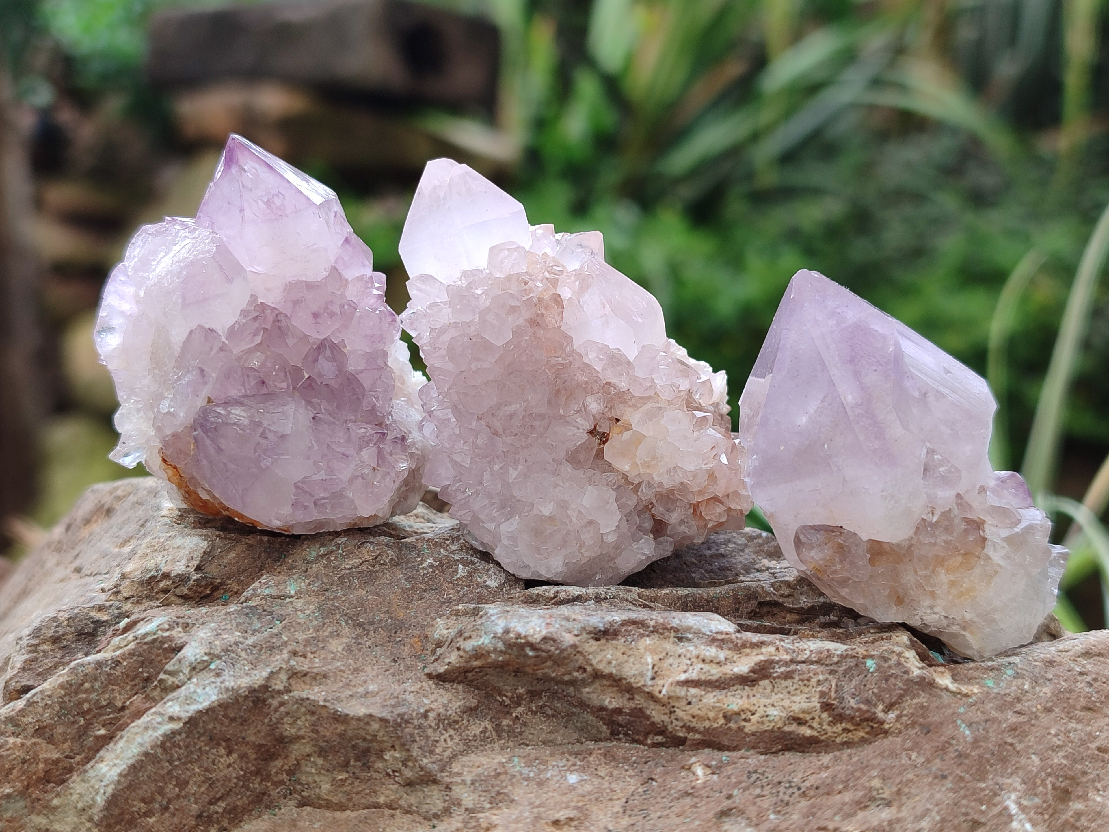 Natural Ametrine Spirit Quartz Crystals x 35 From Boekenhouthoek, South Africa - Toprock Gemstones and Minerals 