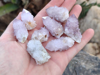 Natural Ametrine Spirit Quartz Crystals x 35 From Boekenhouthoek, South Africa