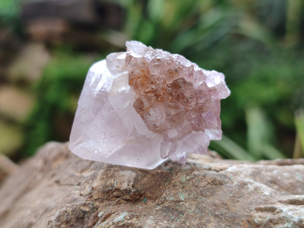 Natural Ametrine Spirit Quartz Crystals x 35 From Boekenhouthoek, South Africa - Toprock Gemstones and Minerals 