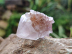 Natural Ametrine Spirit Quartz Crystals x 35 From Boekenhouthoek, South Africa - Toprock Gemstones and Minerals 