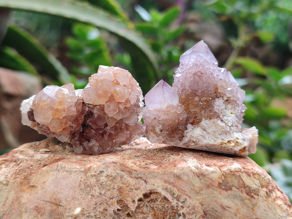 Natural Ametrine Spirit Quartz Crystals x 35 From Boekenhouthoek, South Africa - Toprock Gemstones and Minerals 