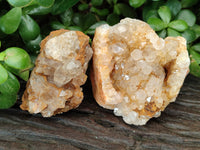 Natural Limonite Quartz Clusters x 36 From Solwezi, Zambia - Toprock Gemstones and Minerals 