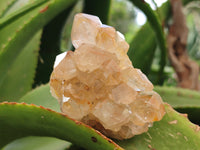 Natural Limonite Quartz Clusters x 36 From Solwezi, Zambia - Toprock Gemstones and Minerals 