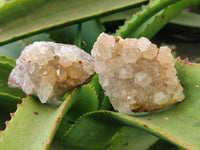 Natural Limonite Quartz Clusters x 36 From Solwezi, Zambia - Toprock Gemstones and Minerals 